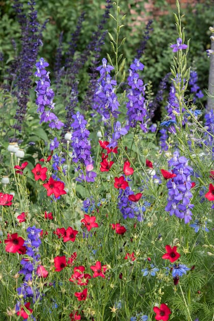 Un jardín bien diseñado usa de manera inteligente los colores y formas