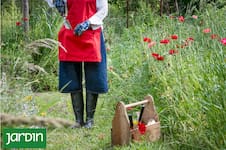 Descubrí los errores que un paisajista nunca cometería y que todos hacemos en casa