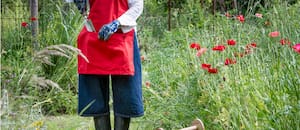 Descubrí los errores que un paisajista nunca cometería y que todos hacemos en casa