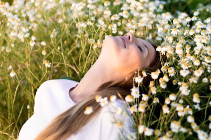 Un jardín sensorial no busca el impacto visual. Busca quedarse en el cuerpo