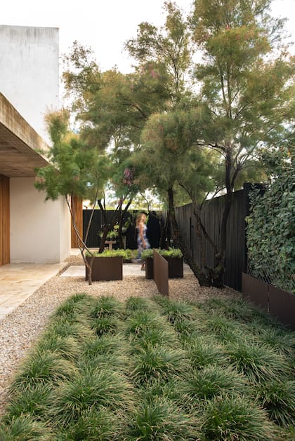 Un jardín sustentable no deja el suelo desnudo