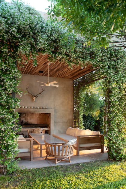 Un jazmín sobre una pérgola ofrece sombra, estructura y una explosión de flores que se repite temporada tras temporada