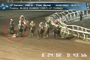 Un jockey quedó internado en terapia intensiva luego de que su caballo tropezara en plena carrera