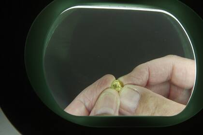 Un joven arqueólogo encontró una moneda egipcia de más de 2200 años de antigüedad en Israel