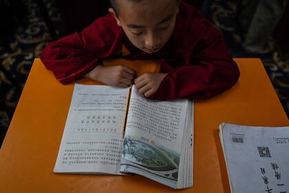 Un joven monje lee textos en chino en el Colegio Tibetano