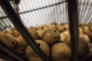 Un juego de azar macabro definiría el destino de los dos militares que serían fusilados