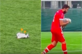 Le pegaron un pelotazo a una gaviota en la liga turca y un futbolista la socorrió con RCP