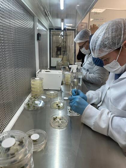 Un laboratorio de edición génica de la empresa en Londrina, Brasil