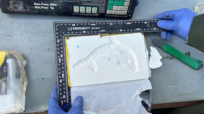Un logo que se suele repetir en cargamentos de cocaína secuestrados en distintos operativos realizados en la Argentina y se presume, que se trata de la marca impuesta por el narco Reinaldo Delfín Castedo, apodado “El Patrón del Norte”