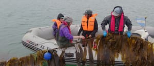 Siembran en el mar y con un producto aspiran a revolucionar la producción agrícola