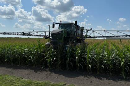 Un lote con maíz en Illinois, una constante del paisaje