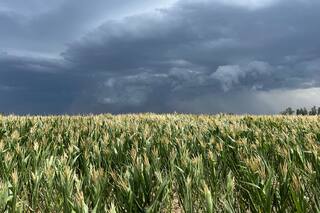 El momento en que se ponen en escena los daños colaterales de la sequía