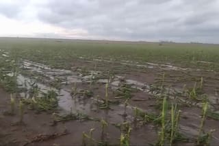 En minutos, un violento fenómeno barrió campos enteros de Santa Fe y Córdoba