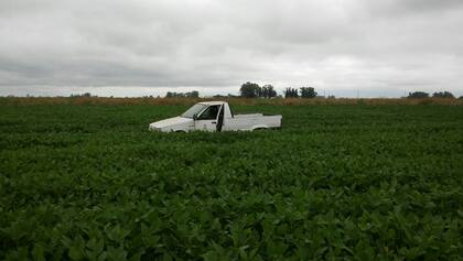 Un lote de soja en la zona de Marcos Juárez