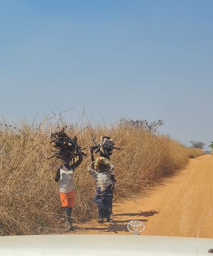 Un lugar próximo a ser producido con siembra directa en Quibala, Angola