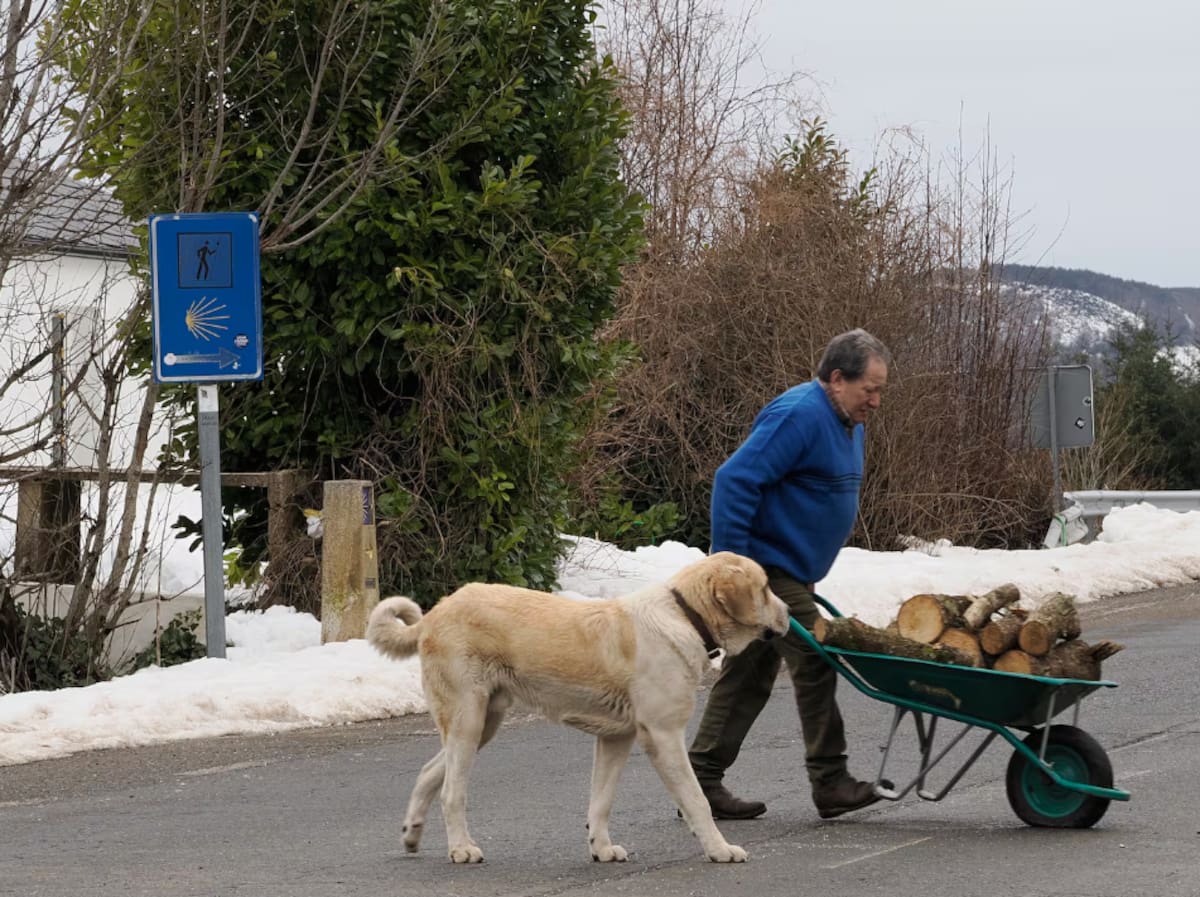 Furacão “Francis” ao vivo. alerta para neve, chuva e tempestade congelante que afetam Espanha