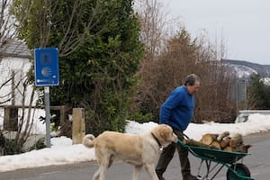 Borrasca “Francis”, en vivo: alerta por la nieve, la lluvia y las temperaturas gélidas que afectan a España