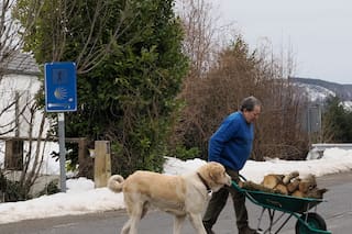 Borrasca “Francis”, en vivo: alerta por la nieve, la lluvia y las temperaturas gélidas que afectan a España
