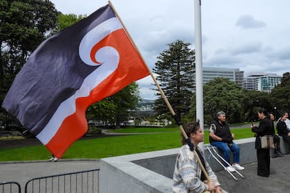 Un manifestante contra el cambio del tratado se sienta frente al Parlamento en Wellington, Nueva Zelanda