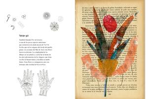 La curiosa historia detrás de un manual ilustrado de botánica imaginaria