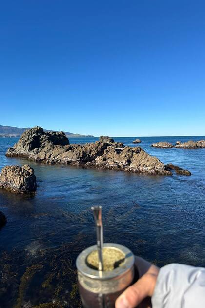 Un mate rioplatense en una isla oceánica: una postal de los alrededores de Wellington tomada por Bobadilla.