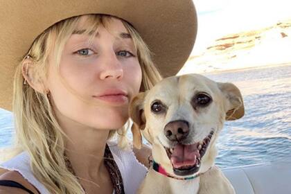 Pocas cosas quedaban pendientes entre Miley Cyrus y su ex y una de ellas era quién se quedaba con los perros que tenían en común