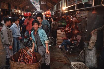 Un mercado de animales de Guangdong encendió las primeras alarmas en tiempos del SARS