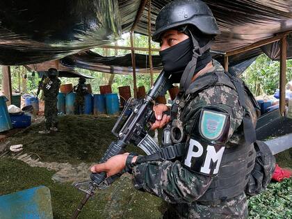 Un miembro de la Policía Militar de Orden Público de Honduras (PMOP) durante un operativo en una plantación de coca, en jurisdicción de Catacamas, departamento de Olancho, al nordeste de Tegucigalpa, el 12 de marzo de 2023. (Honduran Public Order Military Police / AFP) 