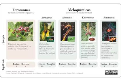 Un mismo infoquímico puede tener diferentes funciones