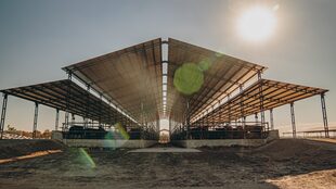 Un módulo experimental destinado a reducir la variabilidad ambiental en las comparaciones entre grupos de animales