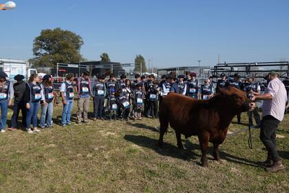 Un momento de la Jura Junior