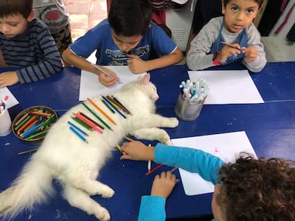 Un momento en el Taller Azul de Silvia Katz