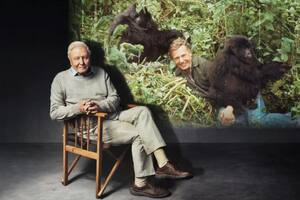 David Attenborough: la trastienda de “La vida en la Tierra”, la serie que cambió nuestra mirada sobre el planeta