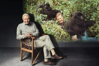 David Attenborough: la trastienda de “La vida en la Tierra”, la serie que cambió nuestra mirada sobre el planeta