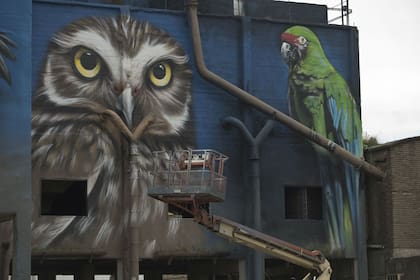 Un mural con aves típicas