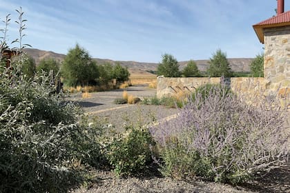 Un muro bajo se aprovechó para plantear una fuente que trae el sonido del agua hacia esta parte del jardín.