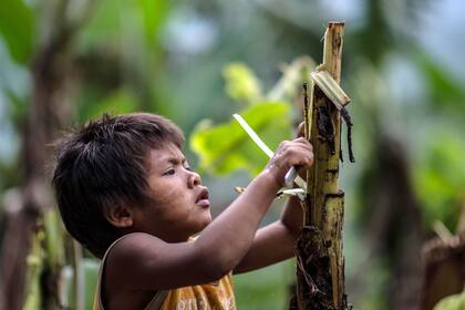 Un niño guaraní en una reserva indígena cerca de Bracui, Minas Gerais