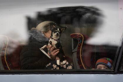 Un niño mira desde un autobús mientras una mujer sostiene a su perro mientras esperan para partir hacia Polonia huyendo de la guerra en Zaporizhzhia, Ucrania