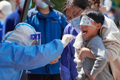 Un niño se hace una prueba de hisopado para el coronavirus Covid-19 en un complejo durante un cierre de Covid-19 en el distrito de Pudong en Shanghai 