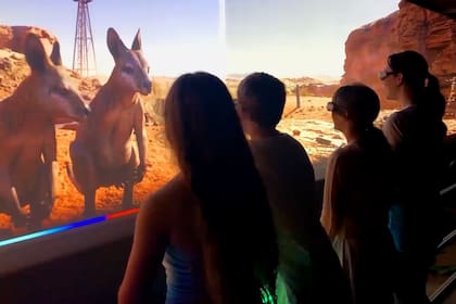 Un novedoso zoológico llama la atención en los habitantes de Texas