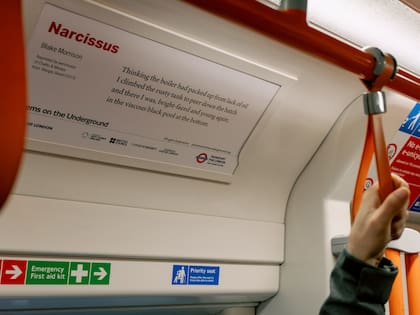 Un nuevo cartel que muestra el poema “Narciso”, de Blake Morrison