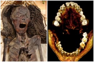 Un nuevo estudio arroja pistas sobre la causa de muerte de la "momia gritona"