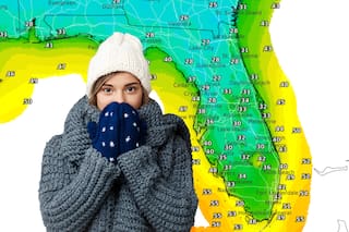Vuelve a bajar la temperatura en Florida: a cuánto llegará la ola de frío en Miami