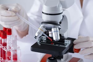 Un nuevo modelo fundacional de IA de Google formuló una hipótesis novedosa sobre el comportamiento celular del cáncer; esta predicción fue confirmada exitosamente en células vivas