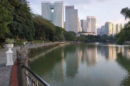 Un oasis en medio de la vorágine citadina.