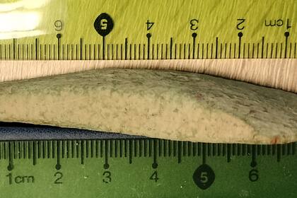 Un objeto que podría pertenecer a la cultura Trypillya fue encontrado en Polonia en el mes de agosto