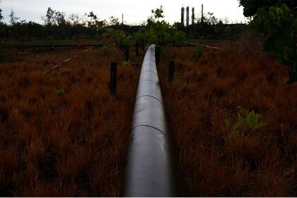 Un oleoducto de una planta petrolera en un campo en las afueras de El Tigre