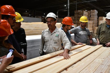 Un operario del aserradero muestra un tablón que partirá en pocos días a los EE.UU., uno de los principales destinos de exportación.(Foto: Martin Ghisio/INTA).