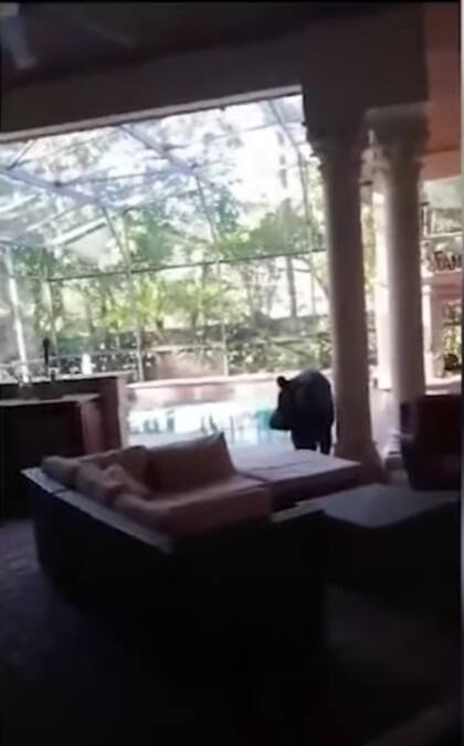 Un oso llegó a una casa de Lake Mary, Florida, y sorprendió a los dueños de la propiedad