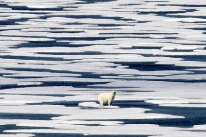 El calentamiento global representa uno de los mayores inconvenientes en la actualidad, según 9 de cada 10 consultados; el coronavirus se agregó a la preocupación del cambio climático